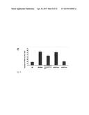 STROMAL CELL THERAPY IN TREATMENT OF RADIATION INJURY diagram and image