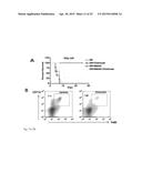 STROMAL CELL THERAPY IN TREATMENT OF RADIATION INJURY diagram and image