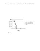 STROMAL CELL THERAPY IN TREATMENT OF RADIATION INJURY diagram and image