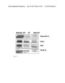 STROMAL CELL THERAPY IN TREATMENT OF RADIATION INJURY diagram and image