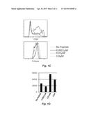 ENHANCED AFFINITY T CELL RECEPTORS AND METHODS FOR MAKING THE SAME diagram and image