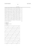 ENHANCED AFFINITY T CELL RECEPTORS AND METHODS FOR MAKING THE SAME diagram and image