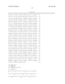 ENHANCED AFFINITY T CELL RECEPTORS AND METHODS FOR MAKING THE SAME diagram and image