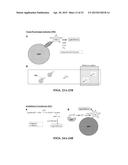 IMMOBILIZED PROTEIN SYSTEM FOR RAPID AND ENHANCED MULTIPLEXED DIAGNOSTICS diagram and image