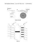 IMMOBILIZED PROTEIN SYSTEM FOR RAPID AND ENHANCED MULTIPLEXED DIAGNOSTICS diagram and image