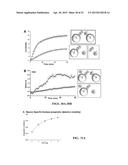 IMMOBILIZED PROTEIN SYSTEM FOR RAPID AND ENHANCED MULTIPLEXED DIAGNOSTICS diagram and image