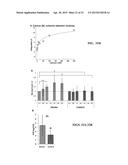 IMMOBILIZED PROTEIN SYSTEM FOR RAPID AND ENHANCED MULTIPLEXED DIAGNOSTICS diagram and image