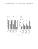 COMPOSITIONS AND METHODS FOR TREATING CARDIAC HYPERTROPHY diagram and image