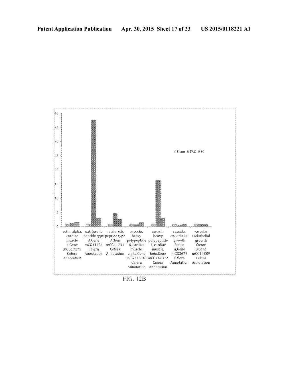 COMPOSITIONS AND METHODS FOR TREATING CARDIAC HYPERTROPHY - diagram, schematic, and image 18