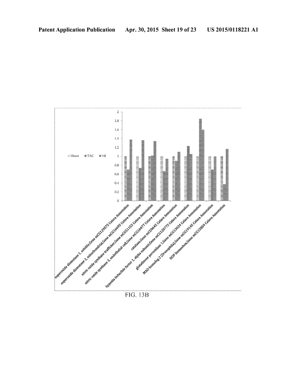 COMPOSITIONS AND METHODS FOR TREATING CARDIAC HYPERTROPHY - diagram, schematic, and image 20