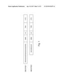 MeCP2 ISOFORM-SPECIFIC ANTIBODY FOR DETECTION OF ENDOGENOUS EXPRESSION OF     MeCP2E1 diagram and image