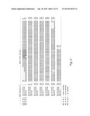 MeCP2 ISOFORM-SPECIFIC ANTIBODY FOR DETECTION OF ENDOGENOUS EXPRESSION OF     MeCP2E1 diagram and image