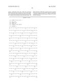 MeCP2 ISOFORM-SPECIFIC ANTIBODY FOR DETECTION OF ENDOGENOUS EXPRESSION OF     MeCP2E1 diagram and image