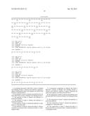 MeCP2 ISOFORM-SPECIFIC ANTIBODY FOR DETECTION OF ENDOGENOUS EXPRESSION OF     MeCP2E1 diagram and image