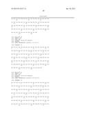 ANTI-HUMAN CD69 ANTIBODY, AND USE THEREOF FOR MEDICAL PURPOSES diagram and image