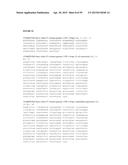 Anti-FcRn Antibodies diagram and image