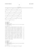 Anti-FcRn Antibodies diagram and image