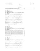 Anti-FcRn Antibodies diagram and image