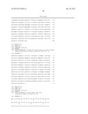 Anti-FcRn Antibodies diagram and image