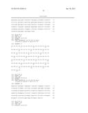 Anti-FcRn Antibodies diagram and image