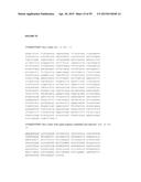 Anti-FcRn Antibodies diagram and image