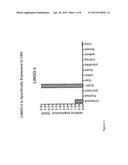 LINGO-2 ANTAGONISTS FOR TREATMENT OF CONDITIONS INVOLVING MOTOR NEURONS diagram and image