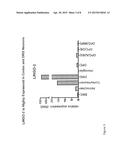 LINGO-2 ANTAGONISTS FOR TREATMENT OF CONDITIONS INVOLVING MOTOR NEURONS diagram and image