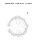 ESCHERICHIA COLI VACCINE COMBINATION diagram and image