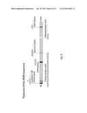 ESCHERICHIA COLI VACCINE COMBINATION diagram and image