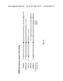 ESCHERICHIA COLI VACCINE COMBINATION diagram and image