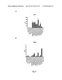 PHARMACEUTICAL COMPOSITION COMPRISING A POLYMERIC CARRIER CARGO COMPLEX     AND AT LEAST ONE PROTEIN OR PEPTIDE ANTIGEN diagram and image