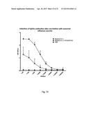 PHARMACEUTICAL COMPOSITION COMPRISING A POLYMERIC CARRIER CARGO COMPLEX     AND AT LEAST ONE PROTEIN OR PEPTIDE ANTIGEN diagram and image