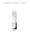 EXTRACELLULAR MATRIX-SYNTHETIC SKIN SCAFFOLD diagram and image