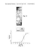 EXTRACELLULAR MATRIX-SYNTHETIC SKIN SCAFFOLD diagram and image