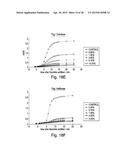 EXTRACELLULAR MATRIX-SYNTHETIC SKIN SCAFFOLD diagram and image