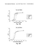 EXTRACELLULAR MATRIX-SYNTHETIC SKIN SCAFFOLD diagram and image