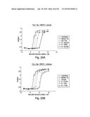 EXTRACELLULAR MATRIX-SYNTHETIC SKIN SCAFFOLD diagram and image