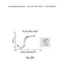 EXTRACELLULAR MATRIX-SYNTHETIC SKIN SCAFFOLD diagram and image