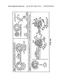 Methods of Treating Inflammatory and Autoimmune Diseases and Disorders diagram and image