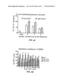 Methods of Treating Inflammatory and Autoimmune Diseases and Disorders diagram and image