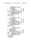 Methods of Treating Inflammatory and Autoimmune Diseases and Disorders diagram and image