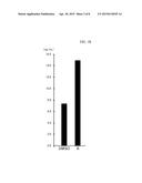 METHOD FOR PROMOTING ADIPONECTIN PRODUCTION, PREVENTION AND TREATMENT OF     HYPOADIPONECTINEMIA diagram and image