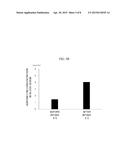 METHOD FOR PROMOTING ADIPONECTIN PRODUCTION, PREVENTION AND TREATMENT OF     HYPOADIPONECTINEMIA diagram and image