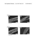 BI-AXIALLY STRETCHED ARTICLE diagram and image