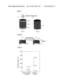 MIXED POWDER HIGH-DENSITY MOLDING METHOD, MIXED POWDER HIGH-DENSITY     MOLDING SYSTEM, AND HIGH-DENSITY THREE-LAYER GREEN COMPACT diagram and image