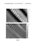 CATION-CONDUCTIVE CONFORMAL ULTRATHIN POLYMER ELECTROLYTES diagram and image