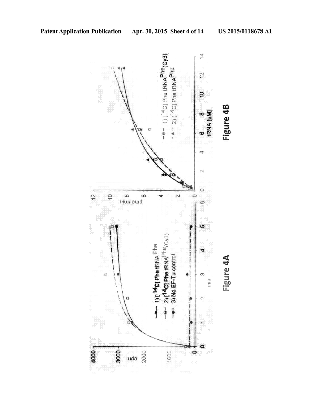 Assay for Identification of Therapeutics Targeting Ternary Complex     Formation in Protein Synthesis - diagram, schematic, and image 05