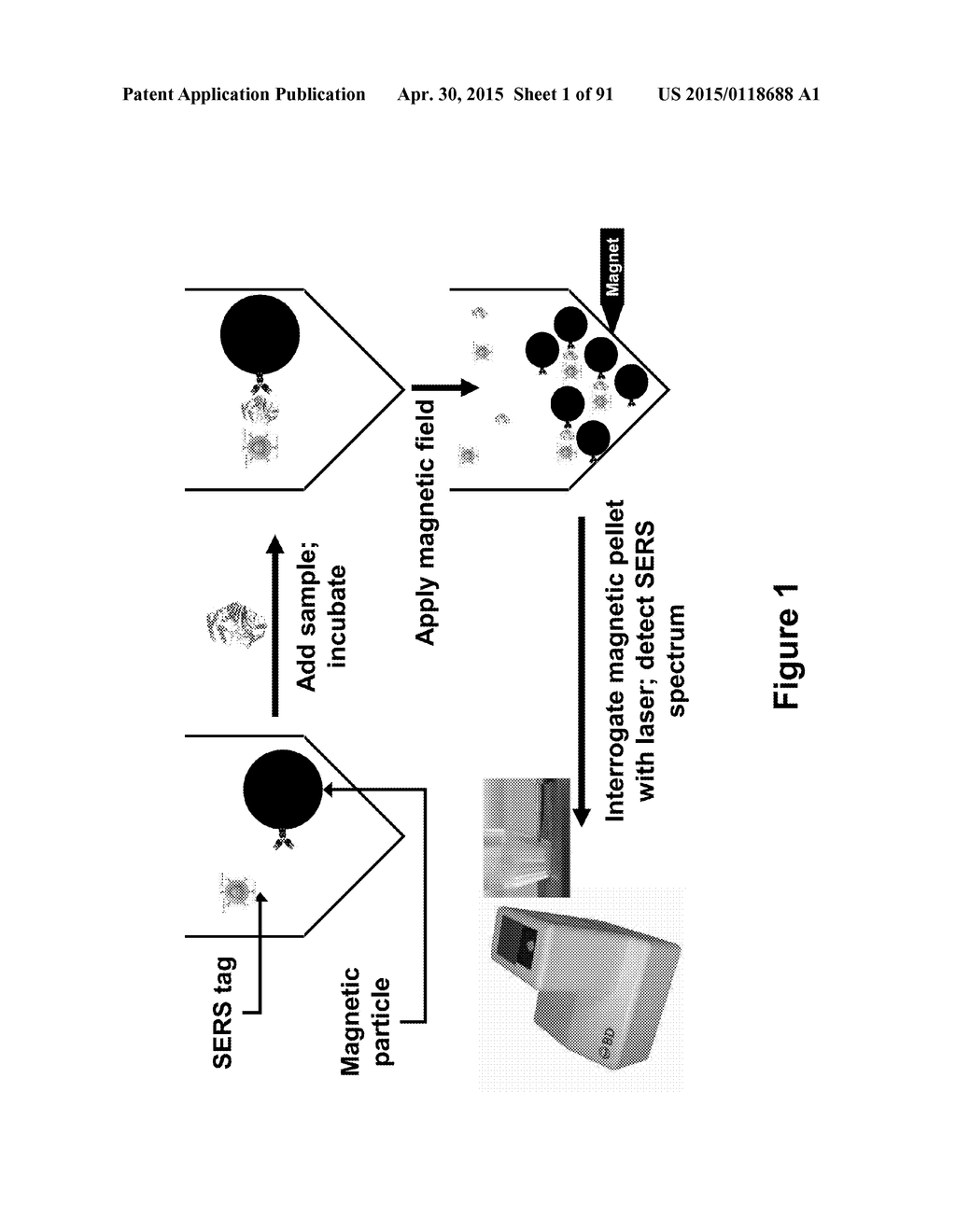 METHODS, SYSTEMS, AND DEVICES FOR DETECTING AND IDENTIFYING MICROORGANISMS     IN MICROBIOLOGICAL CULTURE SAMPLES - diagram, schematic, and image 02