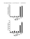 METHOD FOR DELIVERY OF SMALL MOLECULES AND PROTEINS ACROSS THE CELL WALL     OF ALGAE USING MOLECULAR TRANSPORTERS diagram and image