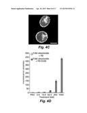 METHOD FOR DELIVERY OF SMALL MOLECULES AND PROTEINS ACROSS THE CELL WALL     OF ALGAE USING MOLECULAR TRANSPORTERS diagram and image